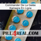 Commander De La Gelée Kamagra En Ligne new09